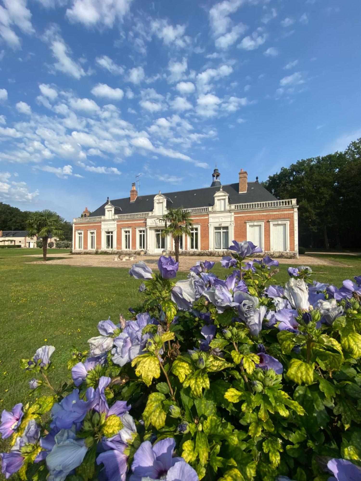 Domaine De Charme - Les Places Lassay-sur-Croisne Buitenkant foto
